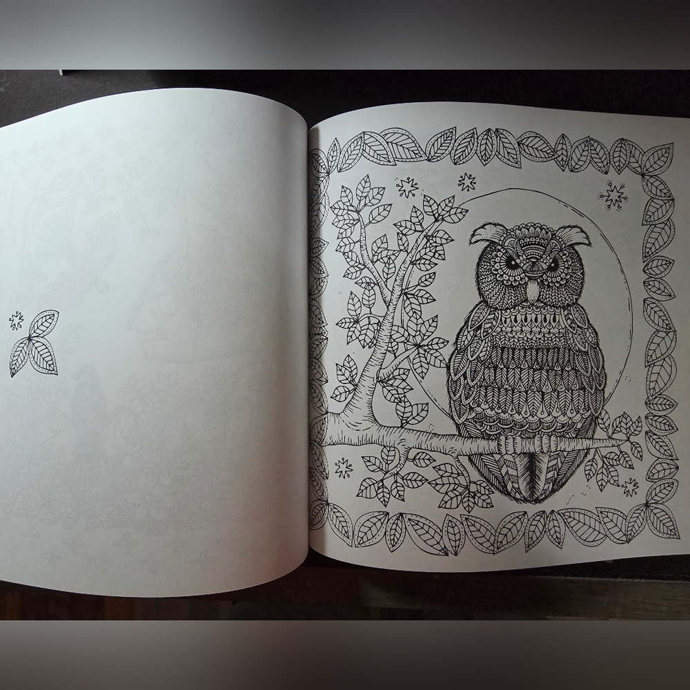 Colorama The Magic Path Coloring Book - Picture 6 of 7